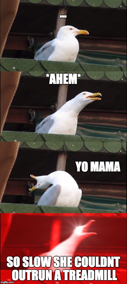 Inhaling Seagull Meme | ... *AHEM*; YO MAMA; SO SLOW SHE COULDNT OUTRUN A TREADMILL | image tagged in memes,inhaling seagull | made w/ Imgflip meme maker