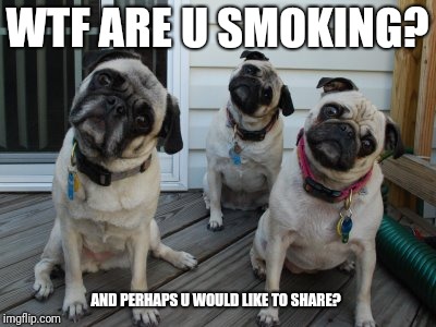 WTF ARE U SMOKING? AND PERHAPS U WOULD LIKE TO SHARE? | made w/ Imgflip meme maker