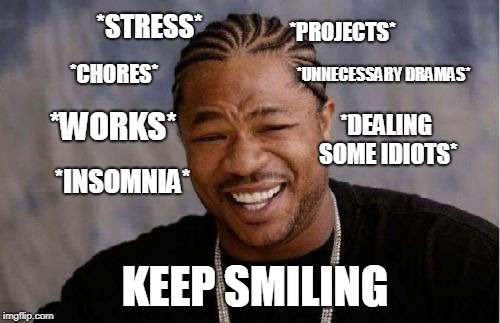 no ONE KNOWS YOU'RE not OKAY. | *PROJECTS*; *STRESS*; *CHORES*; *UNNECESSARY DRAMAS*; *WORKS*; *DEALING SOME IDIOTS*; *INSOMNIA*; KEEP SMILING | image tagged in memes,yo dawg heard you | made w/ Imgflip meme maker