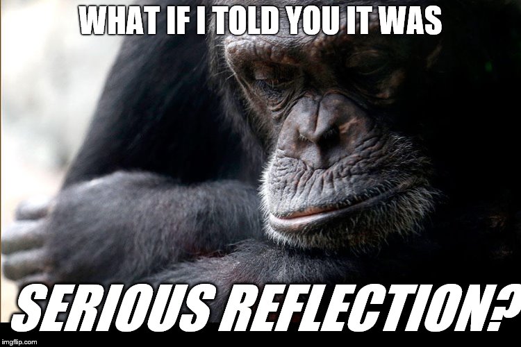 Koko | WHAT IF I TOLD YOU IT WAS SERIOUS REFLECTION? | image tagged in koko | made w/ Imgflip meme maker