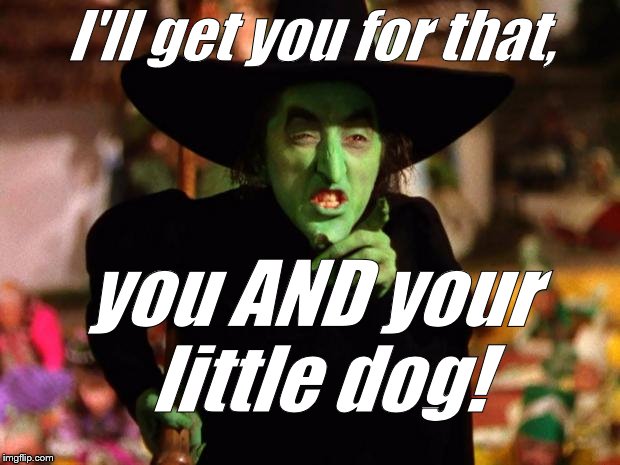 wicked witch  | I'll get you for that, you AND your little dog! | image tagged in wicked witch | made w/ Imgflip meme maker