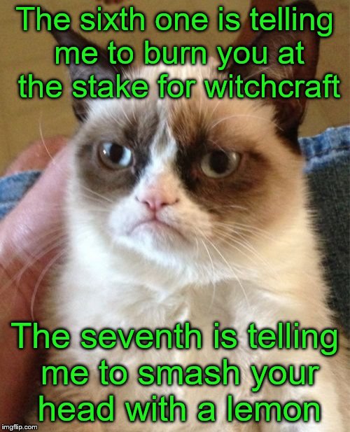 Grumpy Cat Meme | The sixth one is telling me to burn you at the stake for witchcraft The seventh is telling me to smash your head with a lemon | image tagged in memes,grumpy cat | made w/ Imgflip meme maker