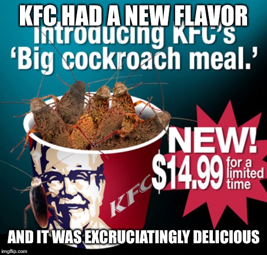 KFC's New Flavor is HERE!! | KFC HAD A NEW FLAVOR; AND IT WAS EXCRUCIATINGLY DELICIOUS | image tagged in kfc,memes,cockroach,gross,fast food,funny | made w/ Imgflip meme maker