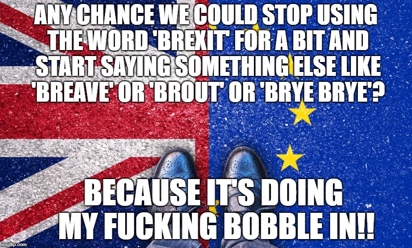 ANY CHANCE WE COULD STOP USING THE WORD 'BREXIT' FOR A BIT AND START SAYING SOMETHING ELSE LIKE 'BREAVE' OR 'BROUT' OR 'BRYE BRYE'? BECAUSE IT'S DOING MY FUCKING BOBBLE IN!! | image tagged in brexit,uk,britain,politics | made w/ Imgflip meme maker