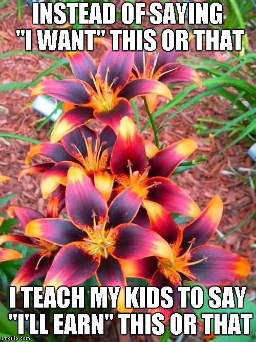 you'll discover what they really want or need fairly quick | INSTEAD OF SAYING "I WANT" THIS OR THAT; I TEACH MY KIDS TO SAY "I'LL EARN" THIS OR THAT | image tagged in flowers | made w/ Imgflip meme maker