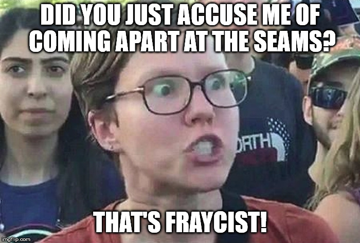Triggered Liberal | DID YOU JUST ACCUSE ME OF COMING APART AT THE SEAMS? THAT'S FRAYCIST! | image tagged in triggered liberal | made w/ Imgflip meme maker