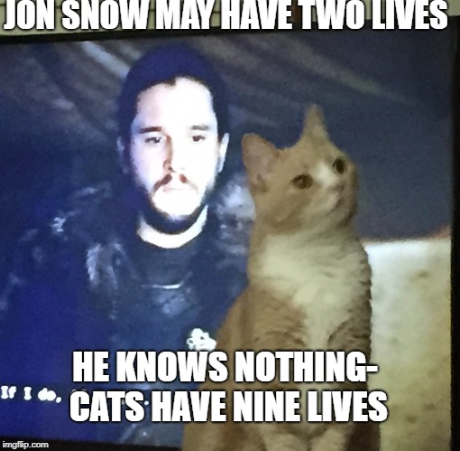 JON SNOW MAY HAVE TWO LIVES; HE KNOWS NOTHING- CATS HAVE NINE LIVES | image tagged in nine lives | made w/ Imgflip meme maker