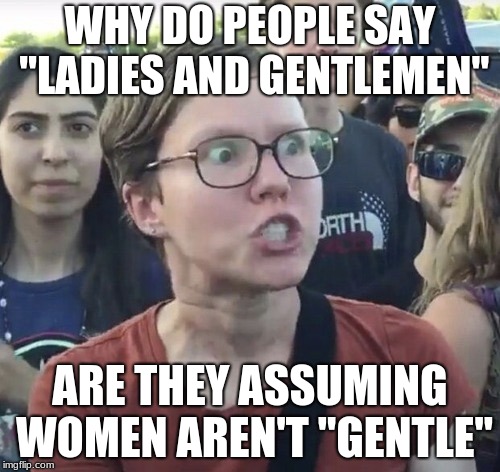 yea why | WHY DO PEOPLE SAY "LADIES AND GENTLEMEN"; ARE THEY ASSUMING WOMEN AREN'T "GENTLE" | image tagged in triggered feminist,gentleman,gentle woman | made w/ Imgflip meme maker