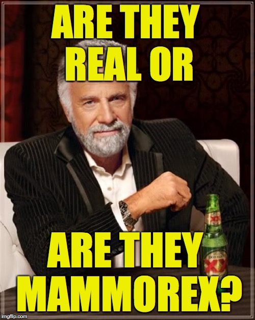 The Most Interesting Man In The World Meme | ARE THEY REAL OR ARE THEY MAMMOREX? | image tagged in memes,the most interesting man in the world | made w/ Imgflip meme maker