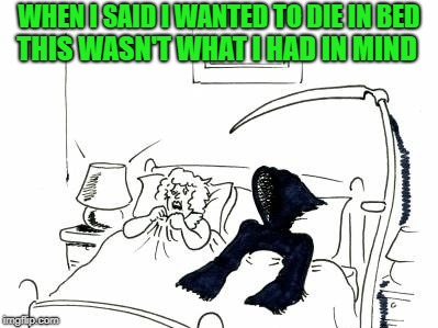 What a way to go right? | WHEN I SAID I WANTED TO DIE IN BED; THIS WASN'T WHAT I HAD IN MIND | image tagged in death in bed,memes,dying in bed,funny,death,grim reaper | made w/ Imgflip meme maker