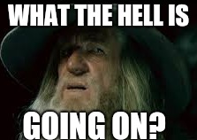 In the name of all that is holy... The HELL is going on here?! | WHAT THE HELL IS; GOING ON? | image tagged in wtf,confused gandalf,gandalf | made w/ Imgflip meme maker