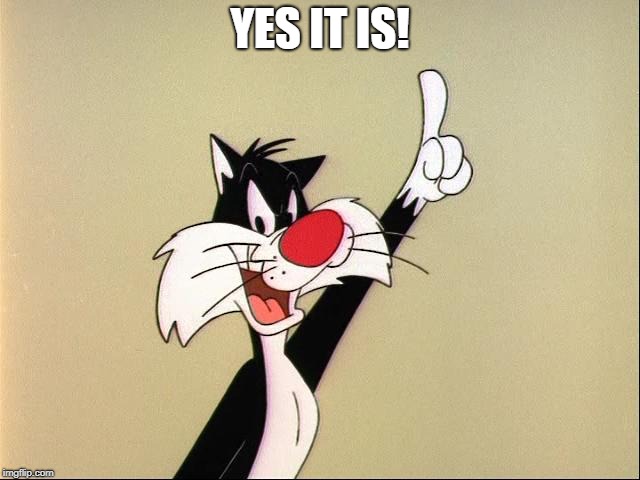 sylvester | YES IT IS! | image tagged in sylvester | made w/ Imgflip meme maker