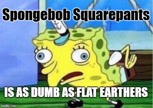 Mocking Spongebob Meme | Spongebob Squarepants; IS AS DUMB AS FLAT EARTHERS | image tagged in memes,mocking spongebob | made w/ Imgflip meme maker