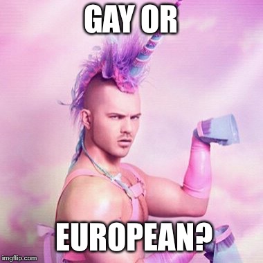 Plz comment if u know :3 |  GAY OR; EUROPEAN? | image tagged in memes,unicorn man | made w/ Imgflip meme maker