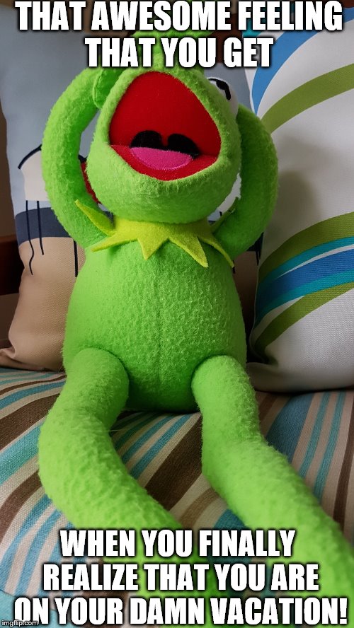 Your Damn Vacation | THAT AWESOME FEELING THAT YOU GET; WHEN YOU FINALLY REALIZE THAT YOU ARE ON YOUR DAMN VACATION! | image tagged in vacation,kermit,kermit the frog | made w/ Imgflip meme maker