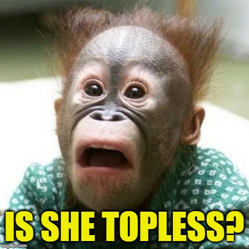 Shocked Monkey | IS SHE TOPLESS? | image tagged in shocked monkey | made w/ Imgflip meme maker