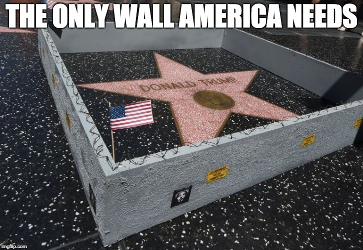 The Only Wall America Needs | THE ONLY WALL AMERICA NEEDS | image tagged in donald trump,trump,resist,the resistance,maga,build the wall | made w/ Imgflip meme maker