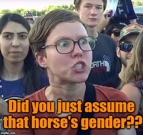 foggy | Did you just assume that horse's gender?? | image tagged in triggered feminist | made w/ Imgflip meme maker