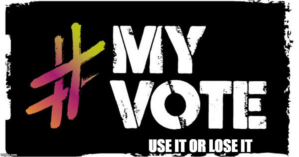 My Vote: Use It or Lose It | USE IT OR LOSE IT | image tagged in myvote,useitorloseit | made w/ Imgflip meme maker