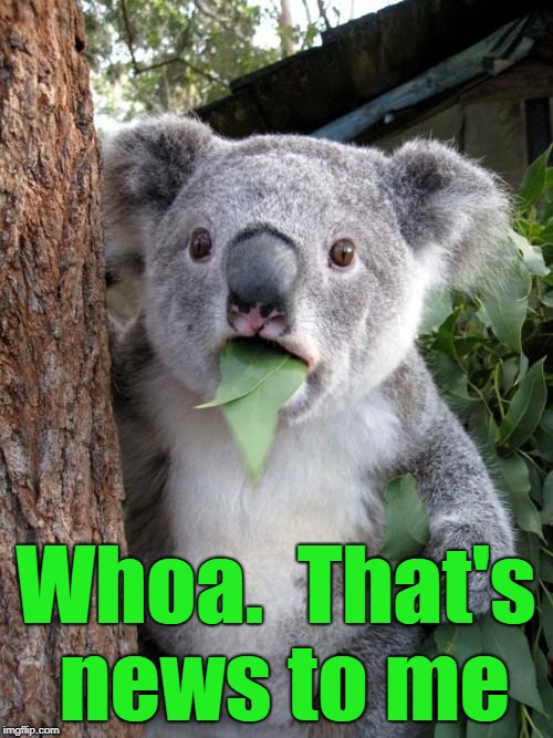 Surprised Koala Meme | Whoa.  That's news to me | image tagged in memes,surprised koala | made w/ Imgflip meme maker