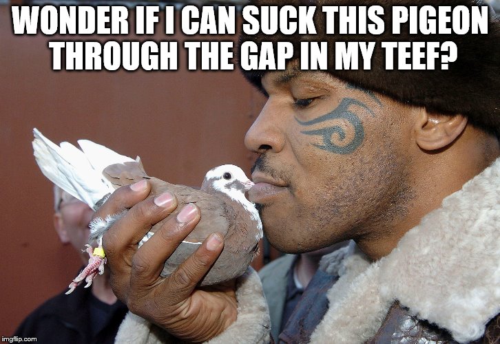 WONDER IF I CAN SUCK THIS PIGEON THROUGH THE GAP IN MY TEEF? | made w/ Imgflip meme maker