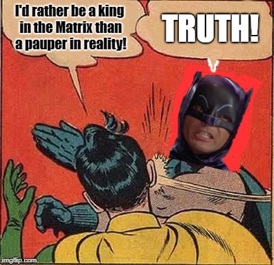 Batman Slapping Robin | I'd rather be a king in the Matrix than a pauper in reality! TRUTH! | image tagged in memes,batman slapping robin | made w/ Imgflip meme maker