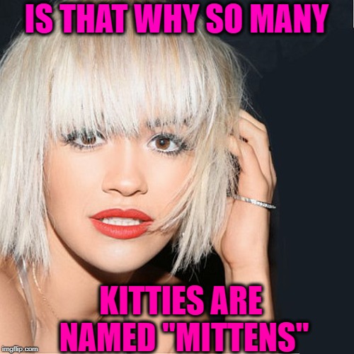 ditz | IS THAT WHY SO MANY KITTIES ARE NAMED "MITTENS" | image tagged in ditz | made w/ Imgflip meme maker