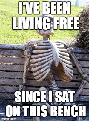 Waiting Skeleton | I'VE BEEN LIVING FREE; SINCE I SAT ON THIS BENCH | image tagged in memes,waiting skeleton | made w/ Imgflip meme maker