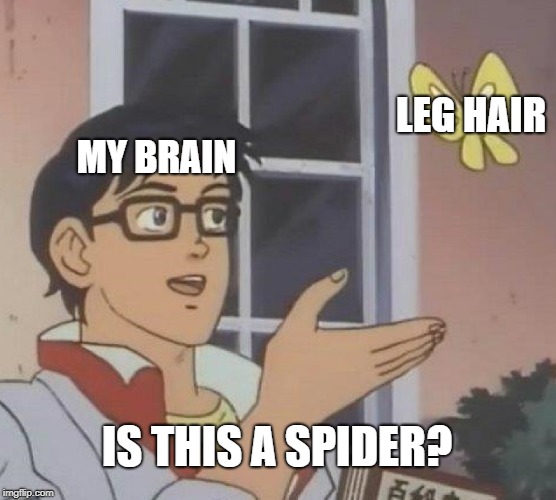 Is This A Pigeon Meme | LEG HAIR; MY BRAIN; IS THIS A SPIDER? | image tagged in memes,is this a pigeon | made w/ Imgflip meme maker