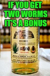 IF YOU GET TWO WORMS IT'S A BONUS | made w/ Imgflip meme maker