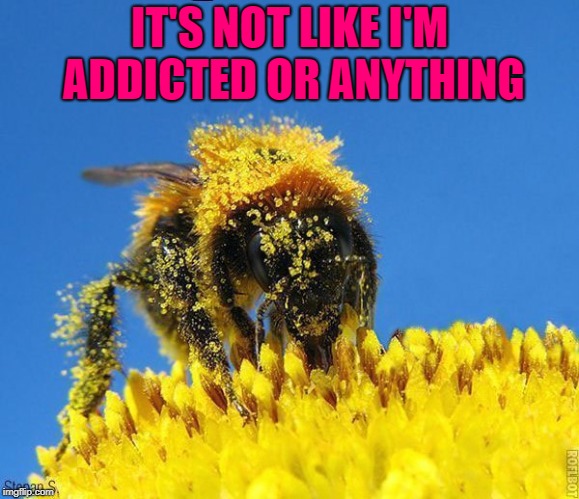 IT'S NOT LIKE I'M ADDICTED OR ANYTHING | made w/ Imgflip meme maker