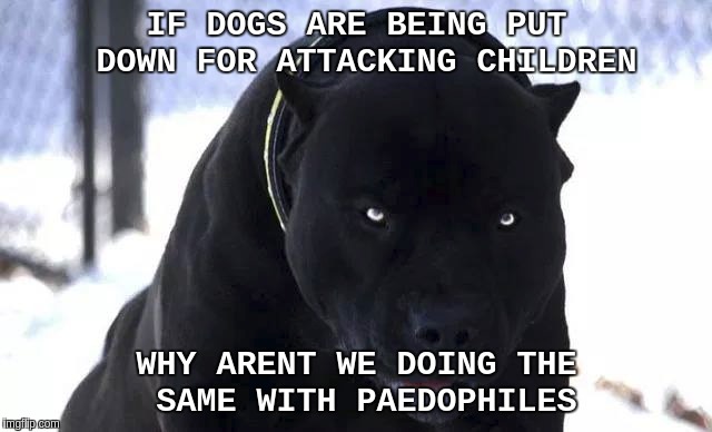 PAEDOPHILES  | IF DOGS ARE BEING PUT DOWN FOR ATTACKING CHILDREN; WHY ARENT WE DOING THE SAME WITH PAEDOPHILES | image tagged in children,kids,charity,new world order,vatican,pope francis | made w/ Imgflip meme maker