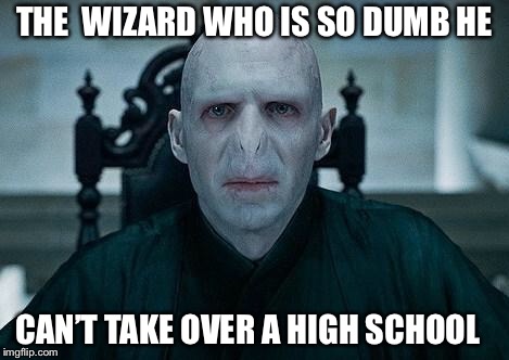 Lord Voldemort | THE  WIZARD WHO IS SO DUMB HE; CAN’T TAKE OVER A HIGH SCHOOL | image tagged in lord voldemort | made w/ Imgflip meme maker