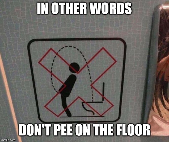 IN OTHER WORDS; DON'T PEE ON THE FLOOR | image tagged in memes | made w/ Imgflip meme maker