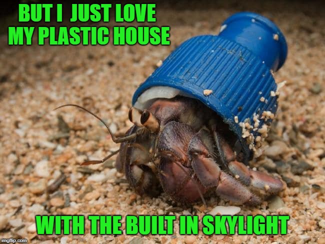 BUT I  JUST LOVE MY PLASTIC HOUSE WITH THE BUILT IN SKYLIGHT | made w/ Imgflip meme maker