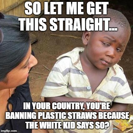 Third World Skeptical Kid | SO LET ME GET THIS STRAIGHT... IN YOUR COUNTRY, YOU'RE BANNING PLASTIC STRAWS BECAUSE THE WHITE KID SAYS SO? | image tagged in memes,third world skeptical kid | made w/ Imgflip meme maker