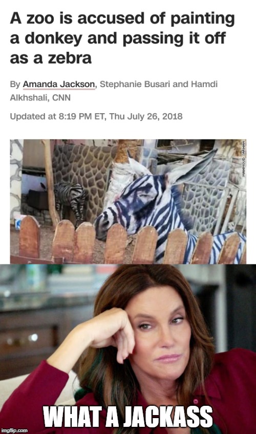 Caitlyn is not impressed | WHAT A JACKASS | image tagged in memes,donkey,caitlyn jenner,calling the kettle black,craziness_all_the_way | made w/ Imgflip meme maker