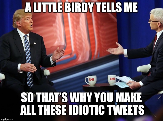 Tweeting bird? | A LITTLE BIRDY TELLS ME; SO THAT’S WHY YOU MAKE ALL THESE IDIOTIC TWEETS | image tagged in trump | made w/ Imgflip meme maker