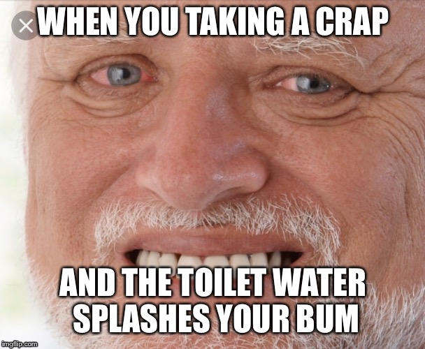 You V Toilet | WHEN YOU TAKING A CRAP; AND THE TOILET WATER SPLASHES YOUR BUM | image tagged in funny memes,relatable | made w/ Imgflip meme maker