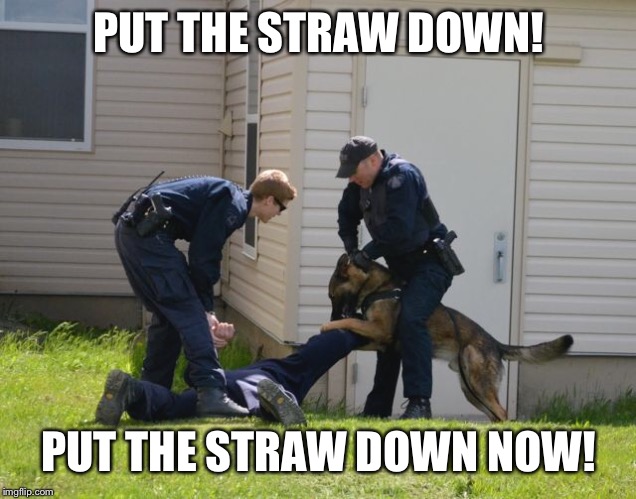 People who use plastic straws have to be stopped | PUT THE STRAW DOWN! PUT THE STRAW DOWN NOW! | image tagged in jokes,funny,cops | made w/ Imgflip meme maker