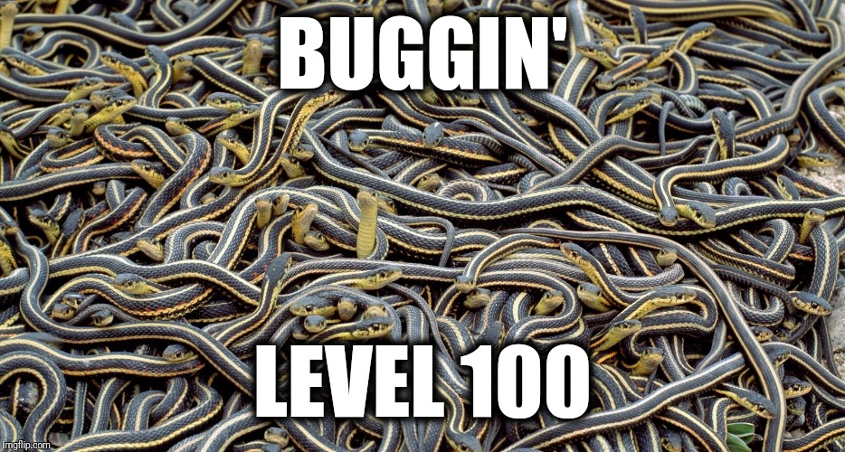 BUGGIN' LEVEL 100 | made w/ Imgflip meme maker