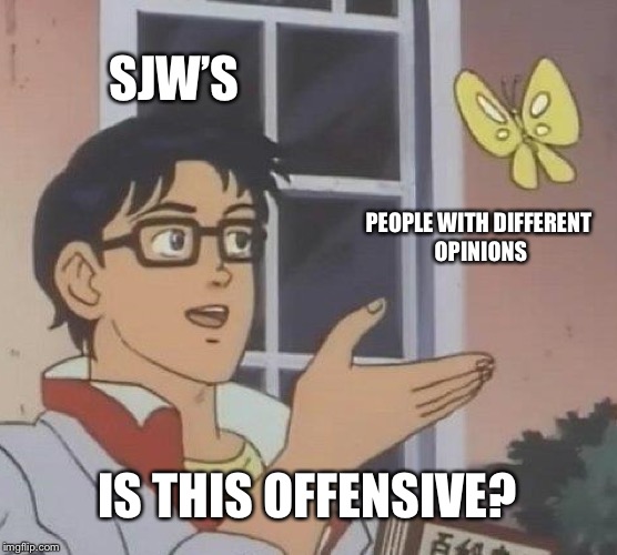 Is This A Pigeon | SJW’S; PEOPLE WITH DIFFERENT OPINIONS; IS THIS OFFENSIVE? | image tagged in memes,is this a pigeon,sjw,tumblr | made w/ Imgflip meme maker