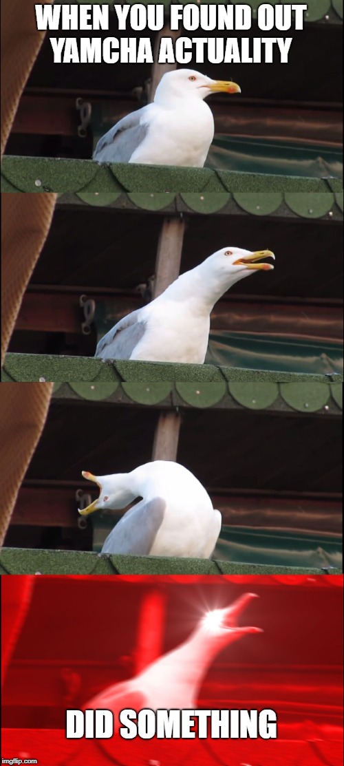 Inhaling Seagull Meme | WHEN YOU FOUND OUT YAMCHA ACTUALITY; DID SOMETHING | image tagged in memes,inhaling seagull | made w/ Imgflip meme maker