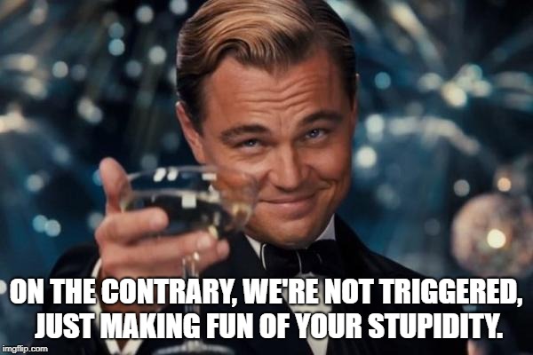 Leonardo Dicaprio Cheers Meme | ON THE CONTRARY, WE'RE NOT TRIGGERED, JUST MAKING FUN OF YOUR STUPIDITY. | image tagged in memes,leonardo dicaprio cheers | made w/ Imgflip meme maker