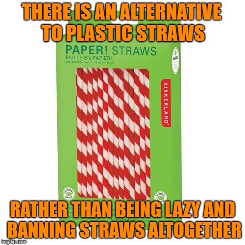 Paper Straws | THERE IS AN ALTERNATIVE TO PLASTIC STRAWS; RATHER THAN BEING LAZY AND BANNING STRAWS ALTOGETHER | image tagged in california,memes,straws | made w/ Imgflip meme maker