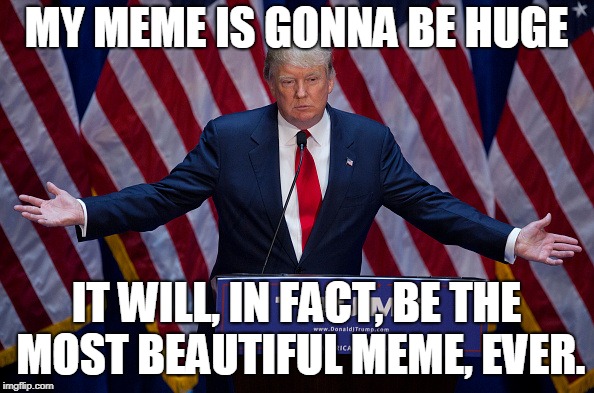 Donald Trump | MY MEME IS GONNA BE HUGE IT WILL, IN FACT, BE THE MOST BEAUTIFUL MEME, EVER. | image tagged in donald trump | made w/ Imgflip meme maker
