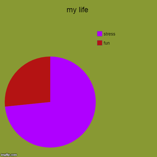 my life | fun, stress | image tagged in funny,pie charts | made w/ Imgflip chart maker