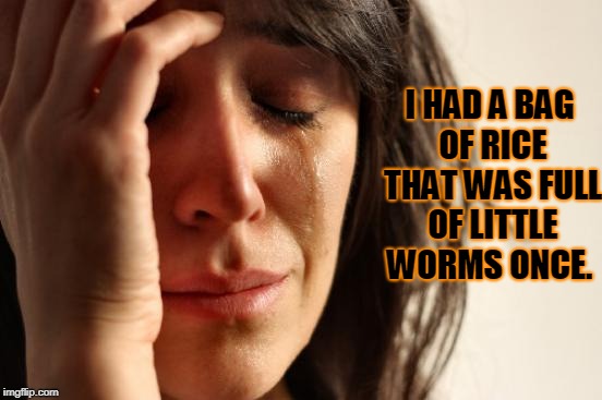 First World Problems Meme | I HAD A BAG OF RICE THAT WAS FULL OF LITTLE WORMS ONCE. | image tagged in memes,first world problems | made w/ Imgflip meme maker