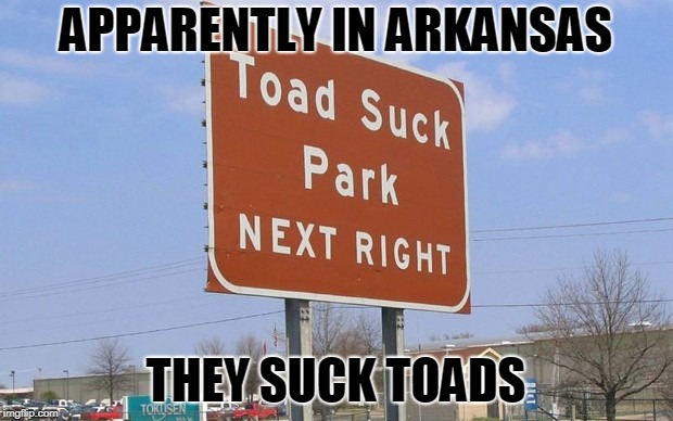They even have a Toad Suck Harley Davidson. | APPARENTLY IN ARKANSAS; THEY SUCK TOADS | image tagged in toad suck arkansas,funny memes,wierd,harley davidson | made w/ Imgflip meme maker