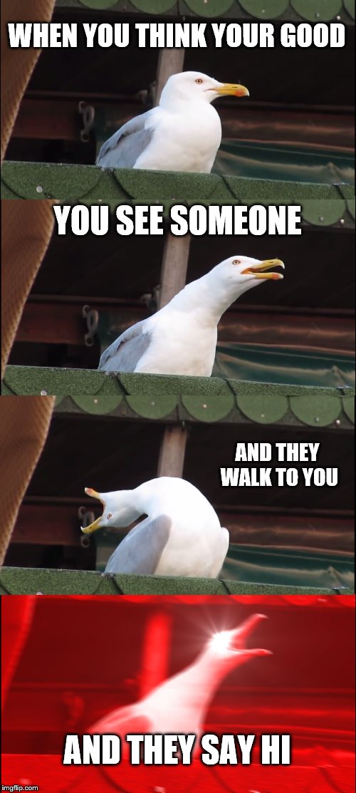 Inhaling Seagull | WHEN YOU THINK YOUR GOOD; YOU SEE SOMEONE; AND THEY WALK TO YOU; AND THEY SAY HI | image tagged in memes,inhaling seagull | made w/ Imgflip meme maker